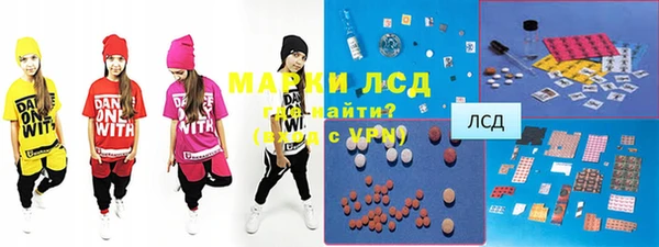 стаф Аркадак