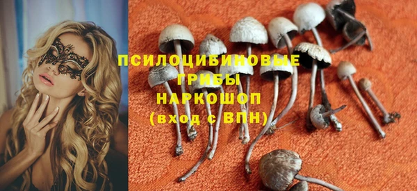 не бодяженный Арсеньев