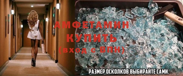 стаф Аркадак