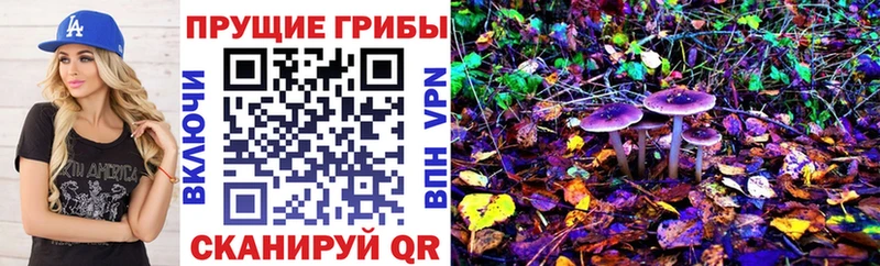 Купить закладки  Уржум  Галлюциногенные грибы Cubensis 